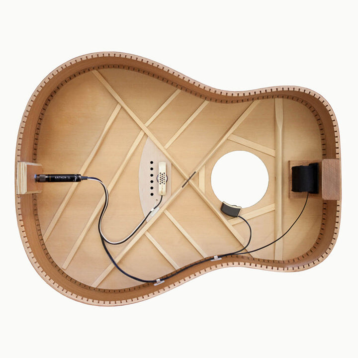 LR Baggs Anthem SL Acoustic Guitar Pickup & Microphone
