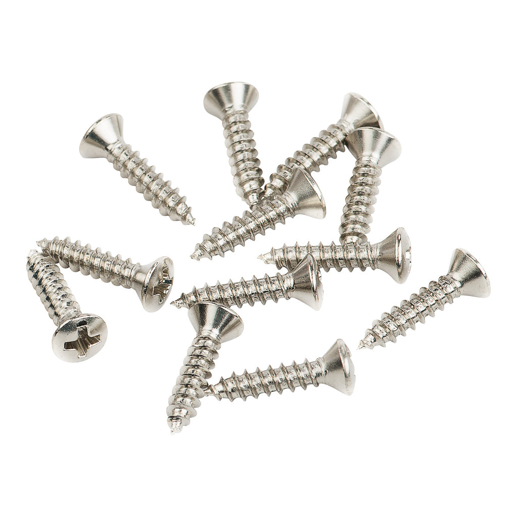 Fender Pickguard/Vintage Bridge Cover Screws, Oval head (set of 12)