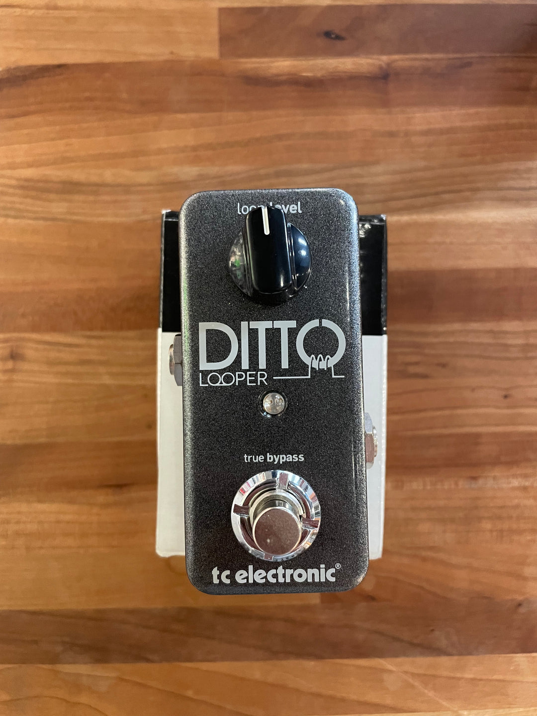 TC Electronic Ditto Looper (626) – Lark Guitars