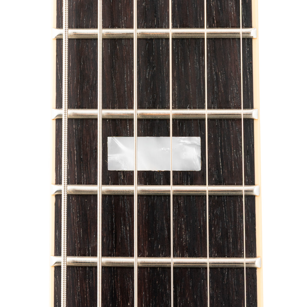 Josh Williams Guitars Hollowbird