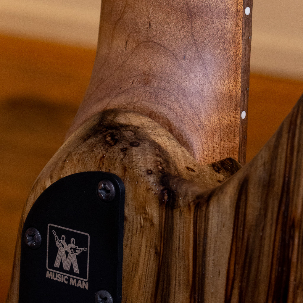 Ernie Ball Music Man Kaizen 6 - Limba (423)