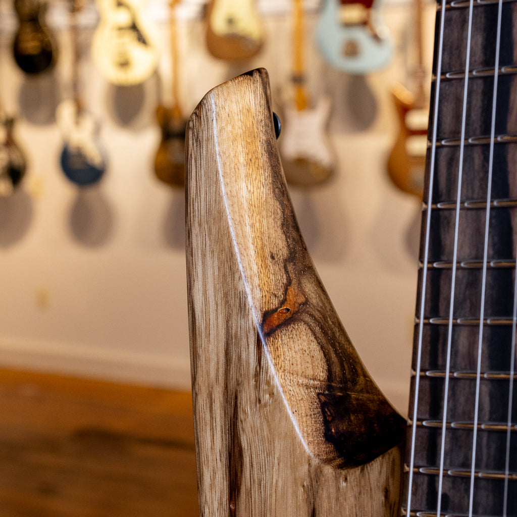 Ernie Ball Music Man Kaizen 6 - Limba (423)