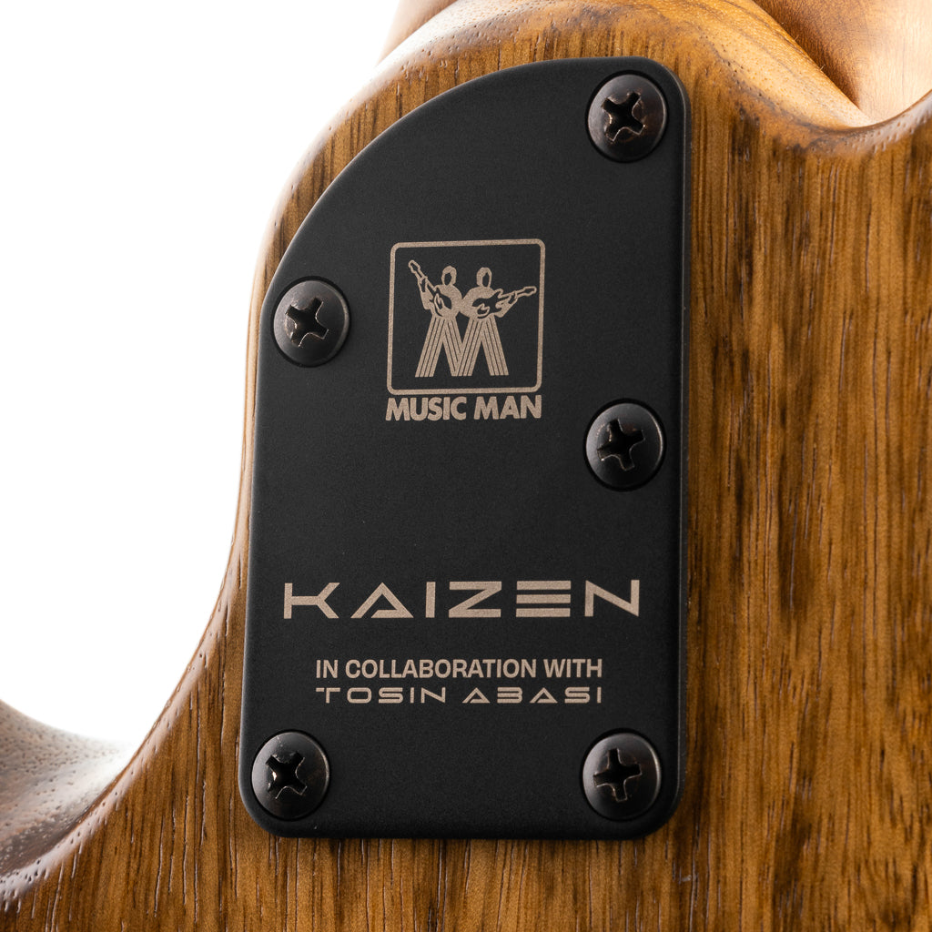 Ernie Ball Music Man Kaizen 7-string Solidbody Electric Guitar - Black Limba (869)