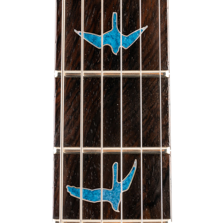 PRS Private Stock #5849 DGT - Winter's Grey Smoked Burst (867)
