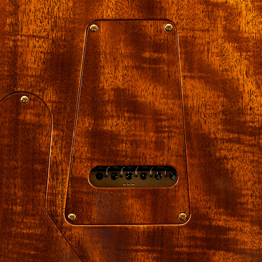 PRS Private Stock #5849 DGT - Winter's Grey Smoked Burst (867)