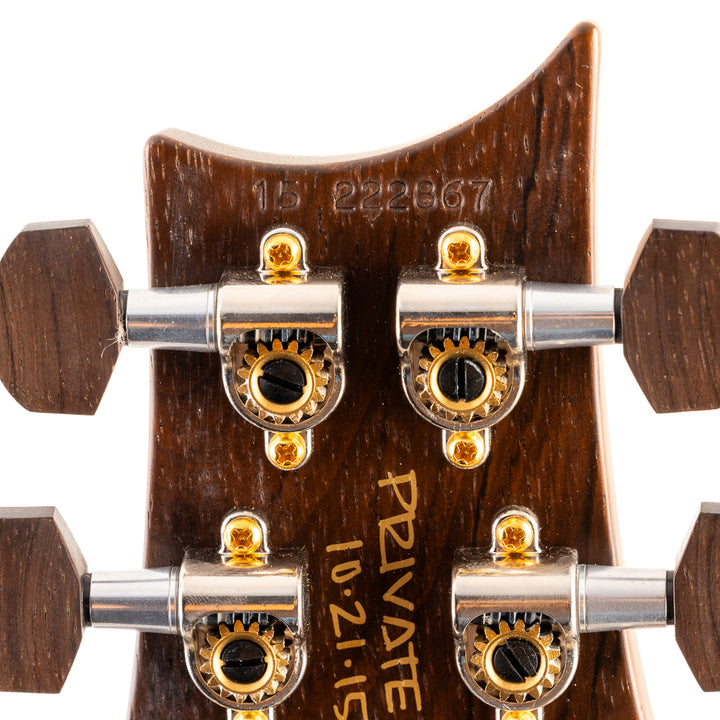 PRS Private Stock #5849 DGT - Winter's Grey Smoked Burst (867)