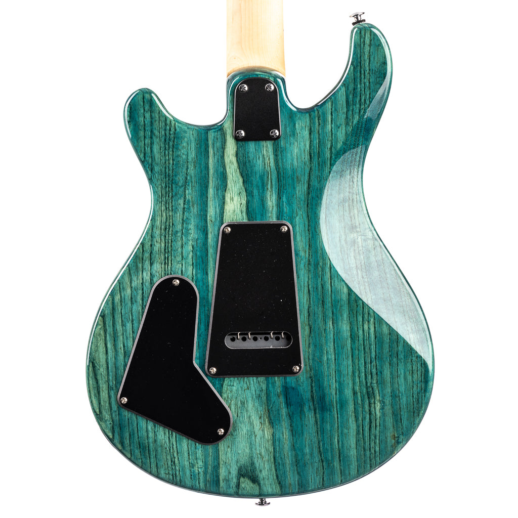 PRS SE Swamp Ash Special - Iri Blue (989)