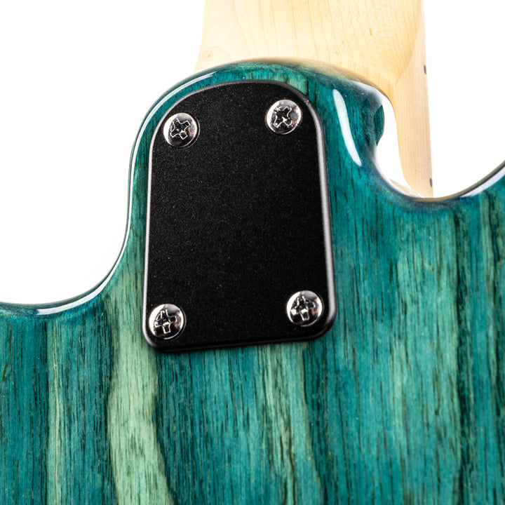 PRS SE Swamp Ash Special - Iri Blue (989)