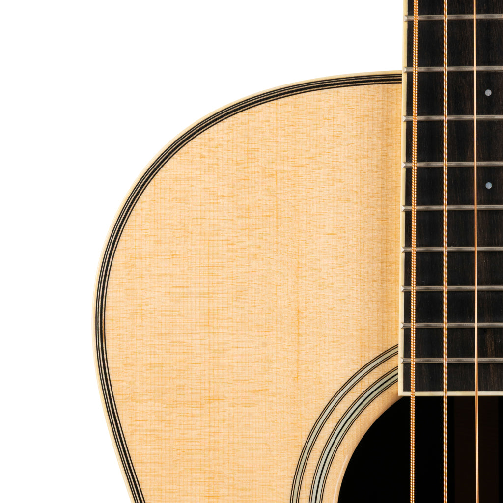 Santa Cruz 50th Anniversary H Model