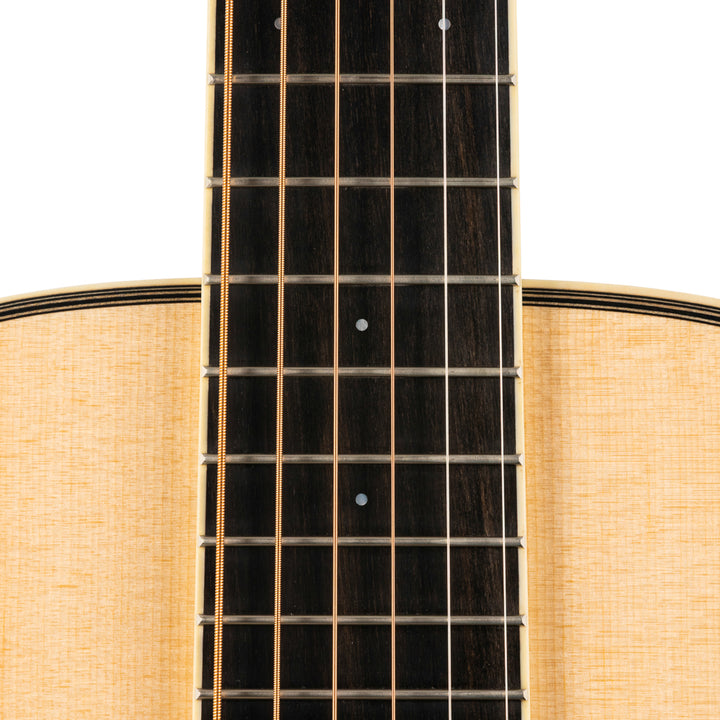 Santa Cruz 50th Anniversary H Model