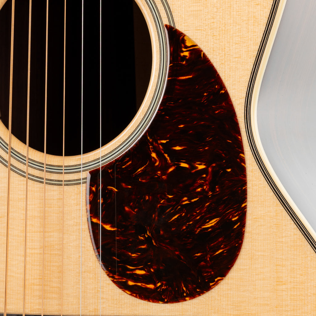 Santa Cruz 50th Anniversary H Model