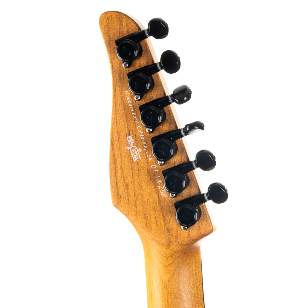 ギター TOM ANDERSON ST-1 ギター TOM ANDERSON ST-1 Tom Anderson Electric Guitars