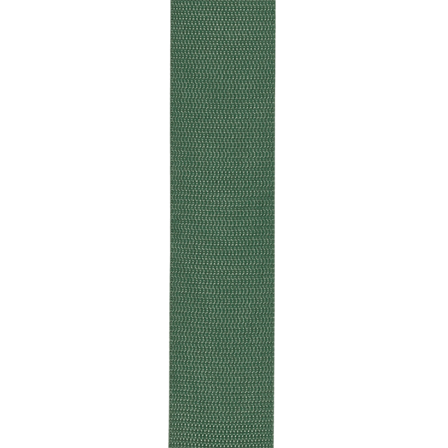 D'Addario Auto Lock Guitar Strap, Green