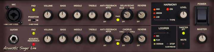 Boss Acoustic Singer Live Acoustic Amplifier (675) - Available at Lark Guitars