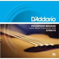 D'Addario EPBB170 Phosphor Bronze Acoustic Bass Strings 45-100 - Available at Lark Guitars