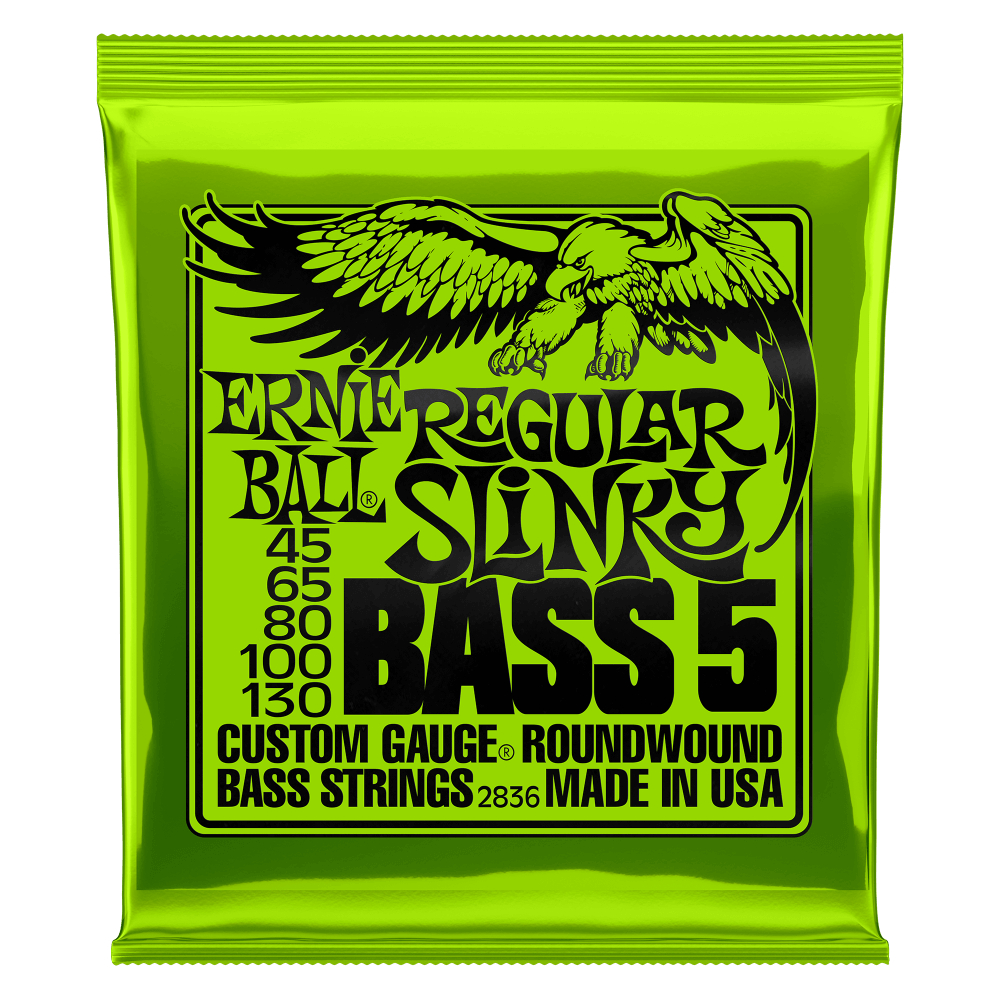 Ernie ball 5 best sale string bass guitar