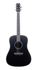 RainSong Concert Series CO-DR1000N2 Dreadnought Body Acoustic Electric (339)